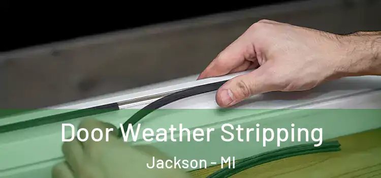 Door Weather Stripping Jackson - MI