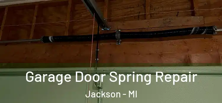  Garage Door Spring Repair Jackson - MI