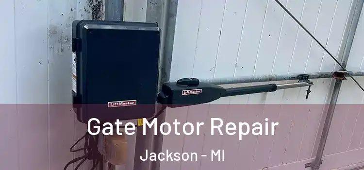  Gate Motor Repair Jackson - MI