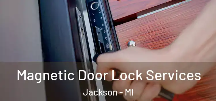 Magnetic Door Lock Services Jackson - MI