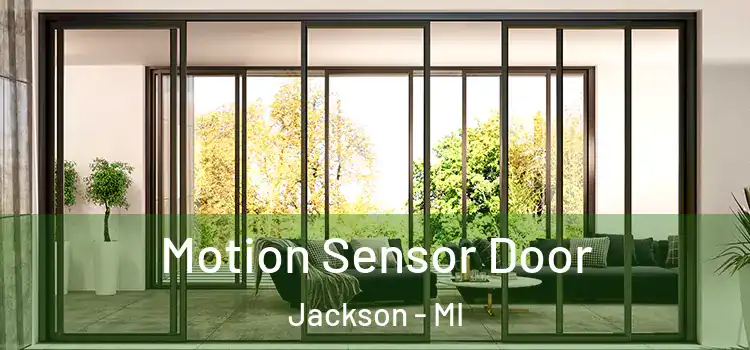 Motion Sensor Door Jackson - MI