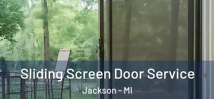  Sliding Screen Door Service Jackson - MI